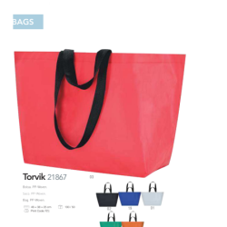 Saco Torvik