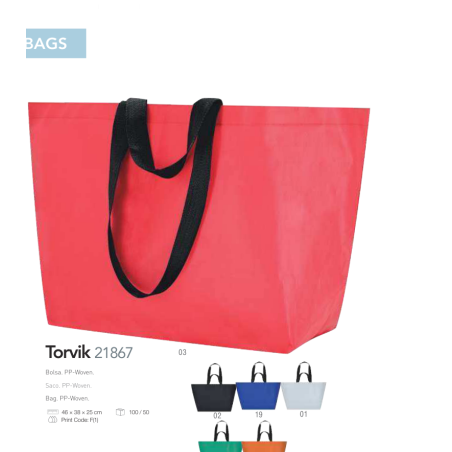 Saco Torvik