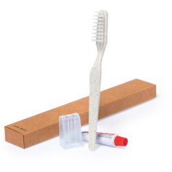 Set Dental Kit
