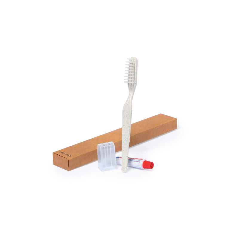 Set Dental Kit