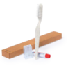 Set Dental Kit