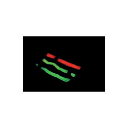 Pulseira fluorescente Clasmy