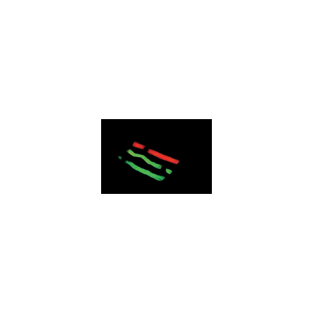 Pulseira fluorescente Clasmy