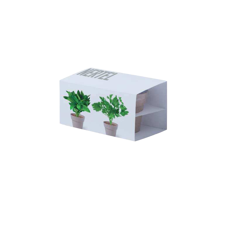 Set vasos Nertel