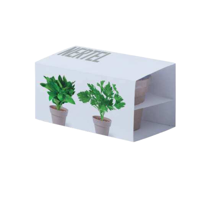 Set vasos Nertel