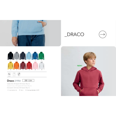 Sweatshirt criança Draco