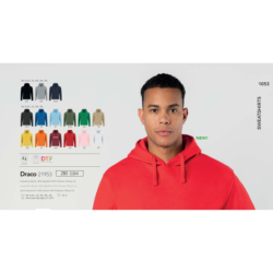 Sweatshirt adulto Draco
