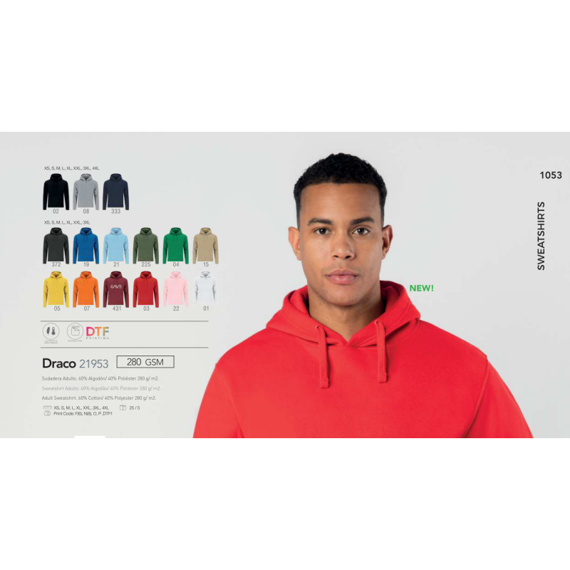Sweatshirt adulto Draco