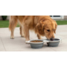 Conjunto para animais Treiver