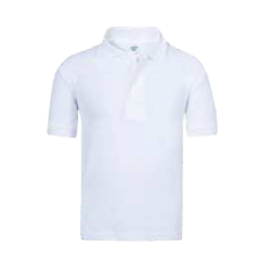 Polo YPS180
