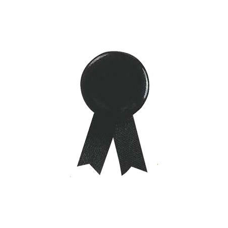 Pin de laço Solidario
