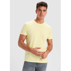 T-shirt Corgi