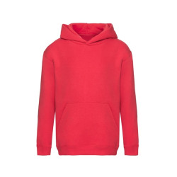 Sweatshirt com Capuz Detroit Kid