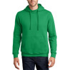Sweatshirt com Capuz Detroit
