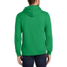 Sweatshirt com Capuz Detroit