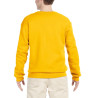 Sweatshirt Boston