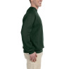 Sweatshirt Boston