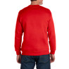 Sweatshirt Boston