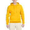 Sweatshirt com Capuz SW271