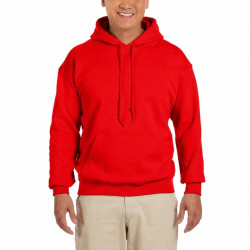 Sweatshirt com Capuz SW271