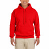 Sweatshirt com Capuz SW271