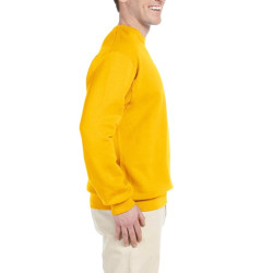 Sweatshirt SW298