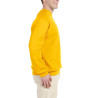 Sweatshirt SW298