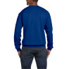 Sweatshirt SW298