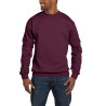 Sweatshirt SW298
