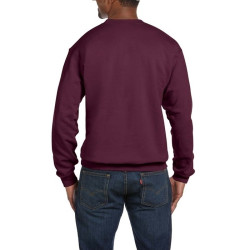 Sweatshirt SW298
