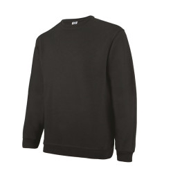 Sweatshirt SW298