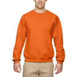 Sweatshirt SW298