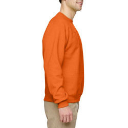 Sweatshirt SW298