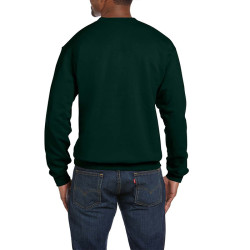 Sweatshirt SW298