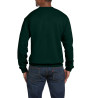 Sweatshirt SW298