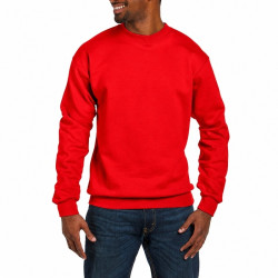 Sweatshirt SW298