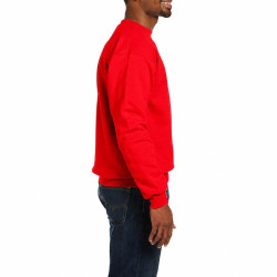 Sweatshirt SW298