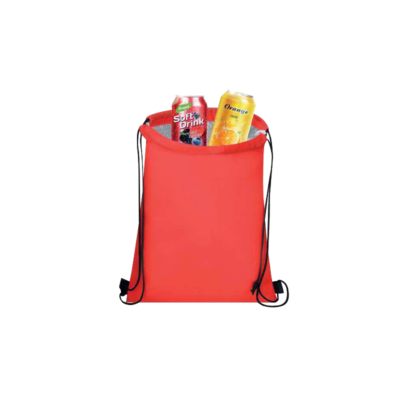 Mochila refrigeradora Nipex