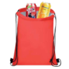 Mochila refrigeradora Nipex