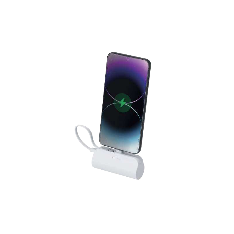 Power bank Laford