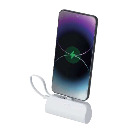 Power bank Laford