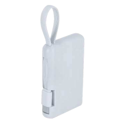 Power bank Brandin