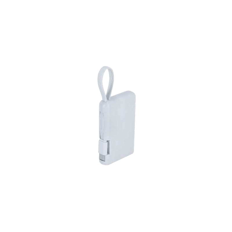 Power bank Brandin