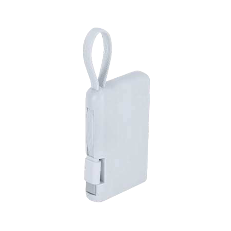 Power bank Brandin