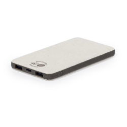 Power bank Mayer