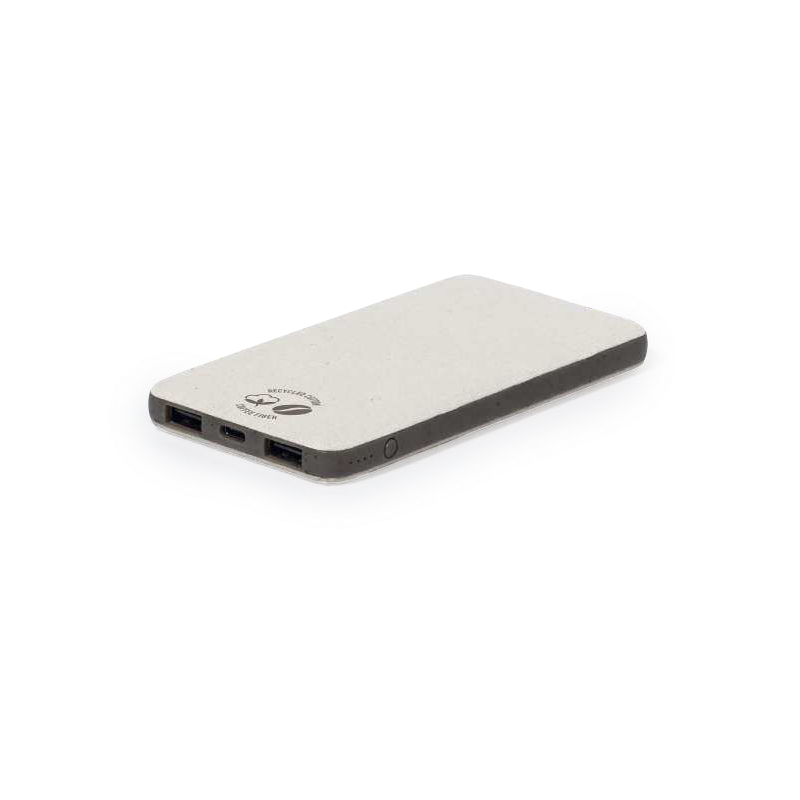 Power bank Mayer