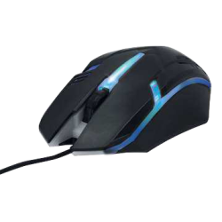 Rato Qinox