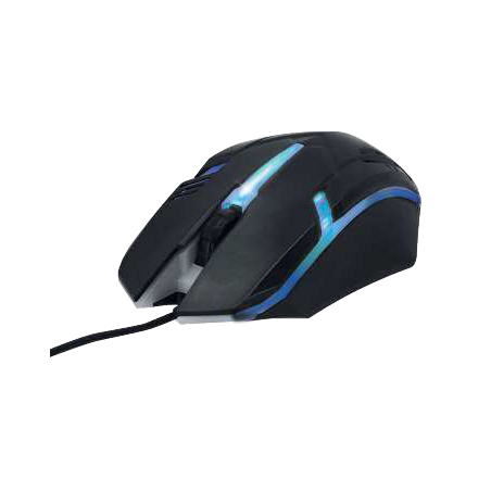 Rato Qinox